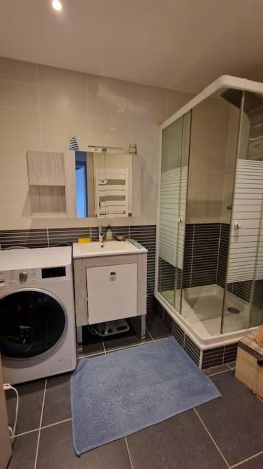 Appartement Cocooning Ars-sur-Moselle Экстерьер фото
